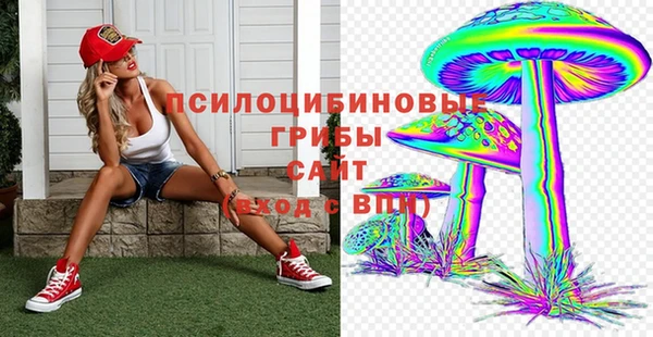 прущие грибы Горно-Алтайск