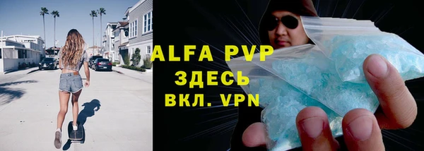 прущие грибы Горно-Алтайск