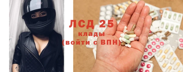 прущие грибы Горно-Алтайск