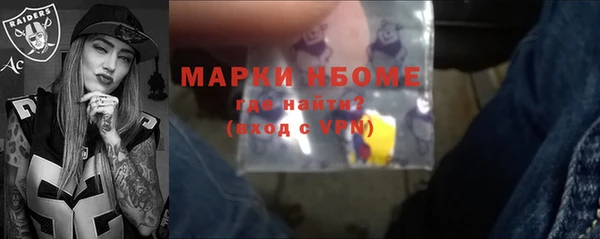 прущие грибы Горно-Алтайск