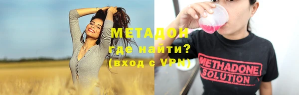 прущие грибы Горно-Алтайск