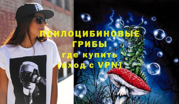 прущие грибы Горно-Алтайск