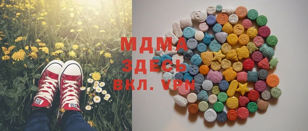 прущие грибы Горно-Алтайск