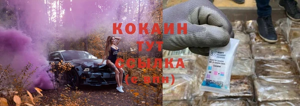 прущие грибы Горно-Алтайск
