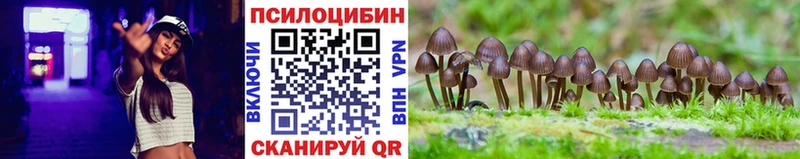 Купить где  Кизляр  Галлюциногенные грибы Magic Shrooms 